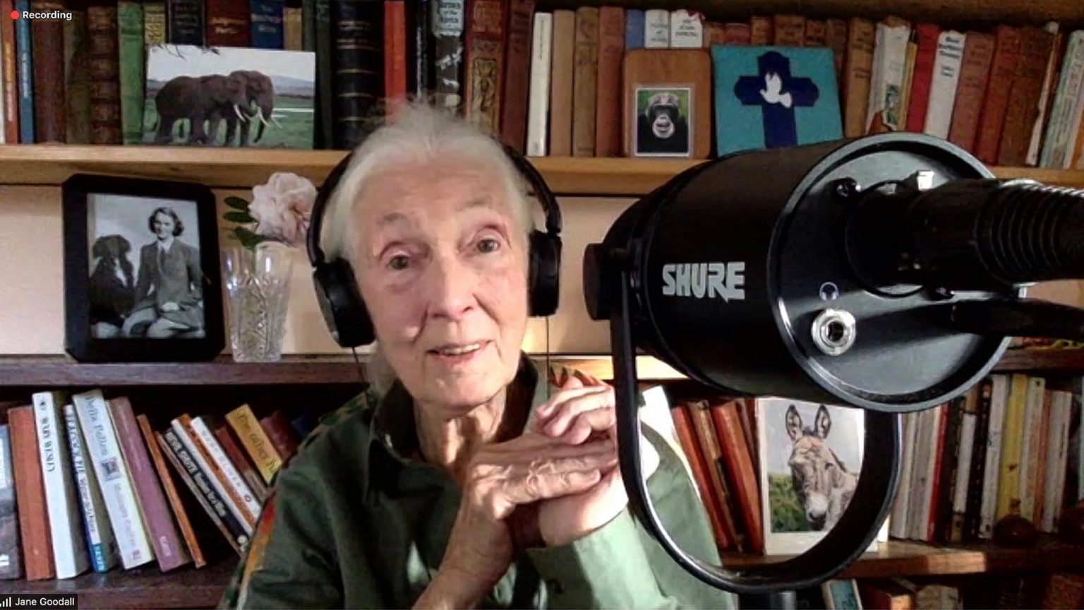 Honoring Jane Goodall’s conservation legacy and combatting misinformation