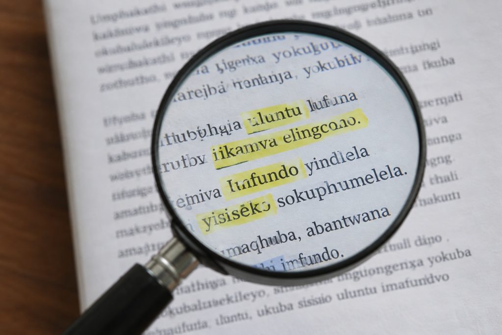 Study develops AI to detect misinformation in local languages