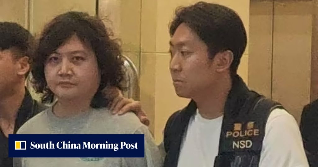 Boom News founder Tang Ho-wing, 1 other arrested by Hong Kong national security police