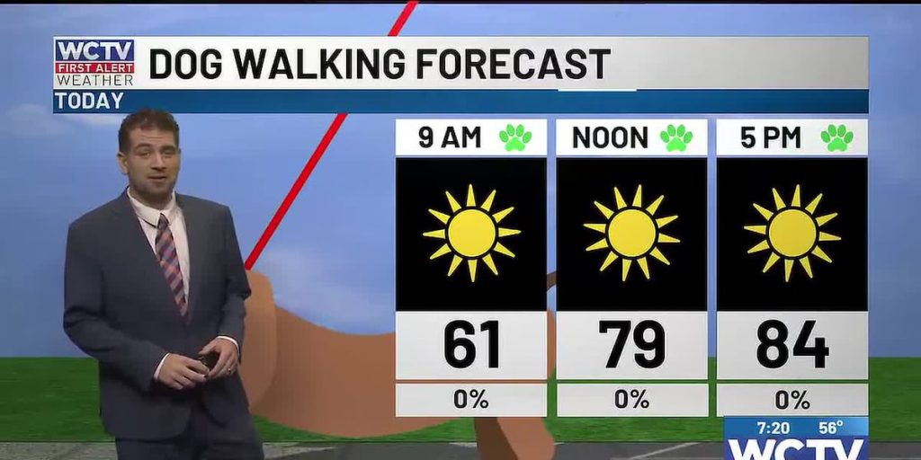 “False” fall this weekend 🍂 – WCTV