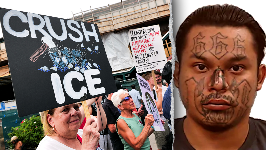 White House and DHS dispute noncriminal ICE arrest claims by media