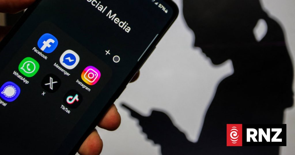 Explainer: How to spot election disinformation on social media