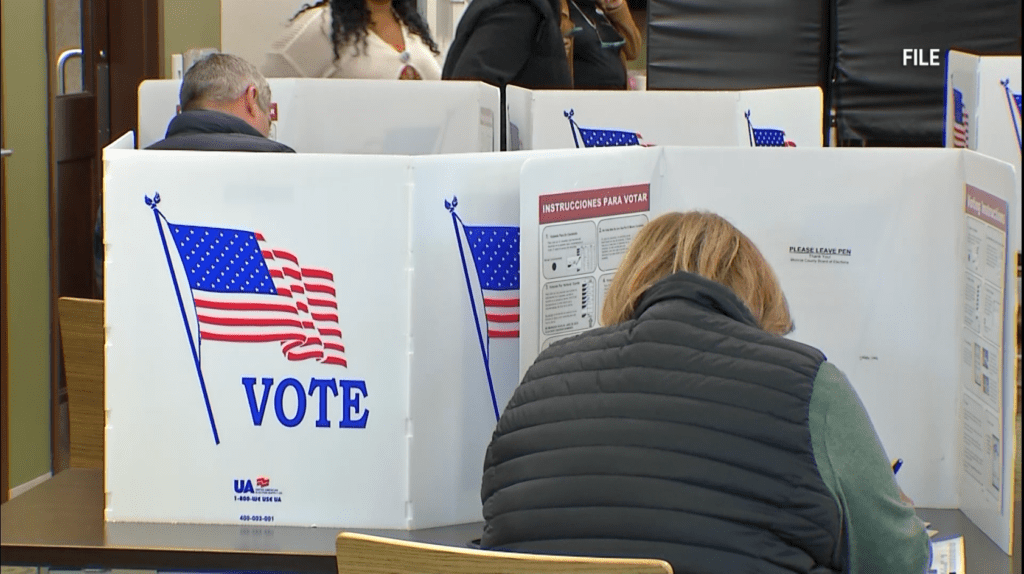 Fact Check: New York poll worker ballot rumor is false; stray marks do not disqualify your vote