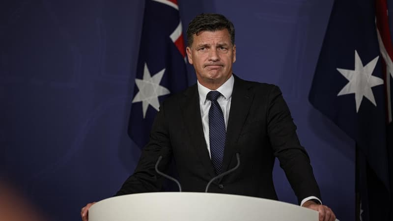 Disinformation pages fabricate Angus Taylor “go back…