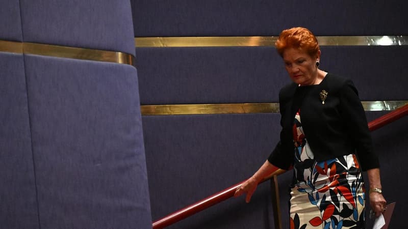 Foreign disinformation operators fake Pauline Hanson…