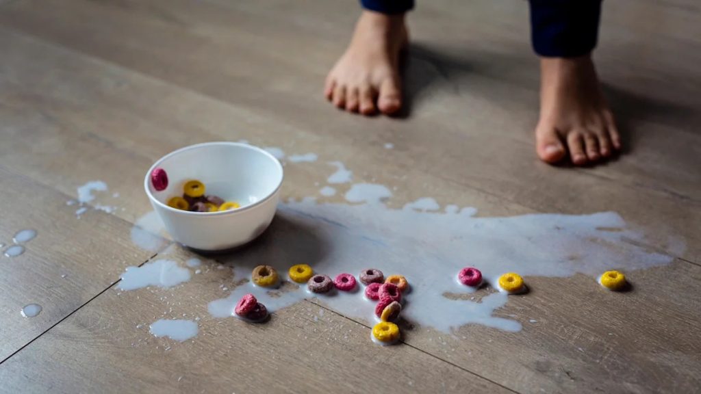 The 5-Second Rule is scientifically false